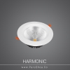 Harmonic30w
