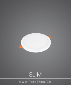 Slim12w