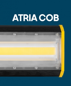 آتریا COB