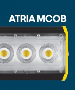 آتریا MCOB