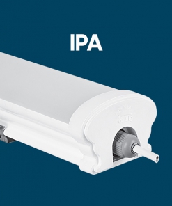 آیپا
