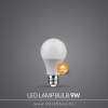 bulb-9w